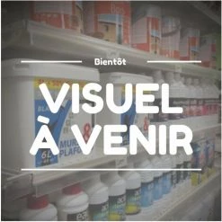 PEREL Pile Alcaline 9v 120ah Petit Boîtier